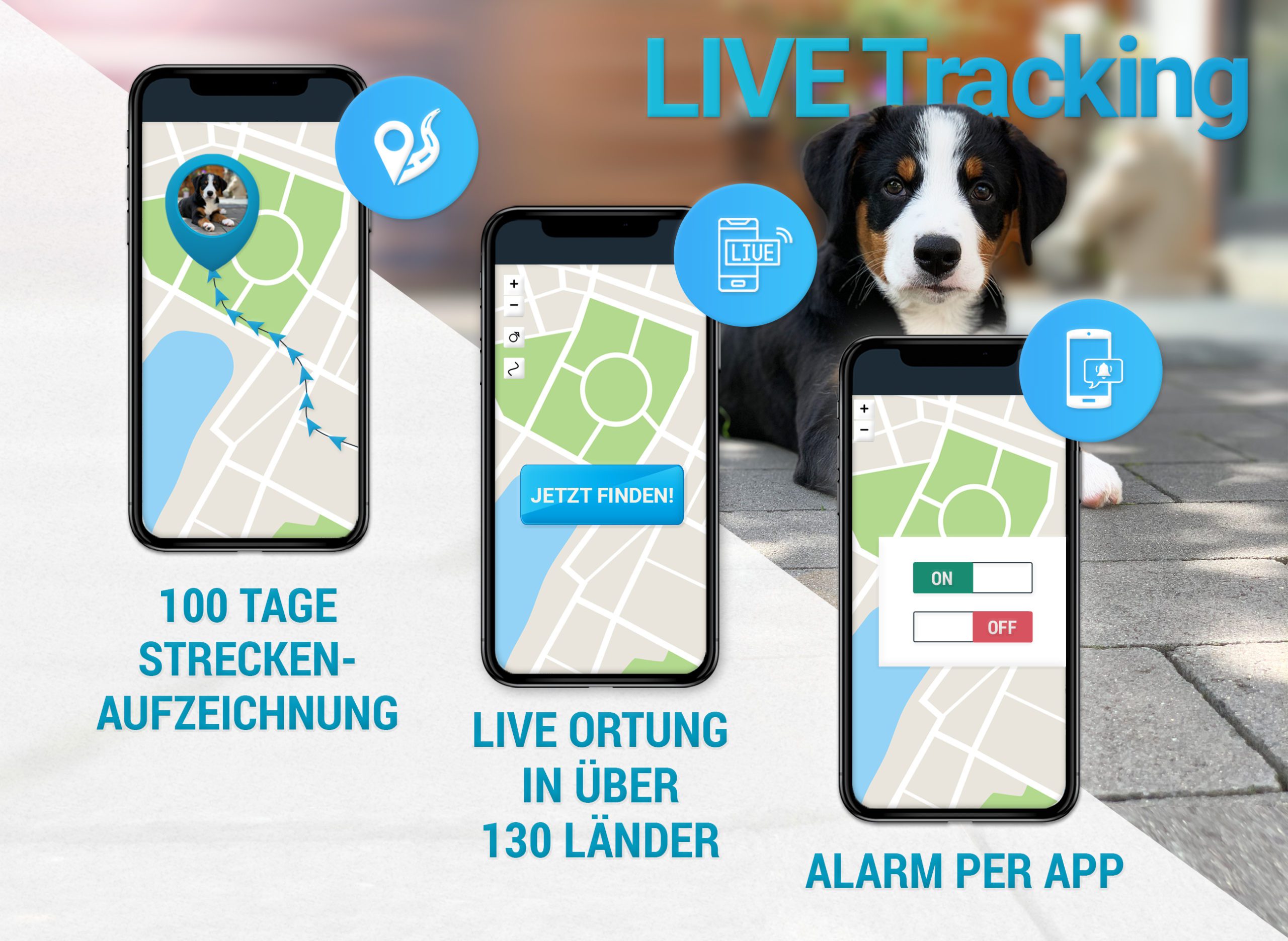 6.Live Tracking scaled - 6.Live_Tracking