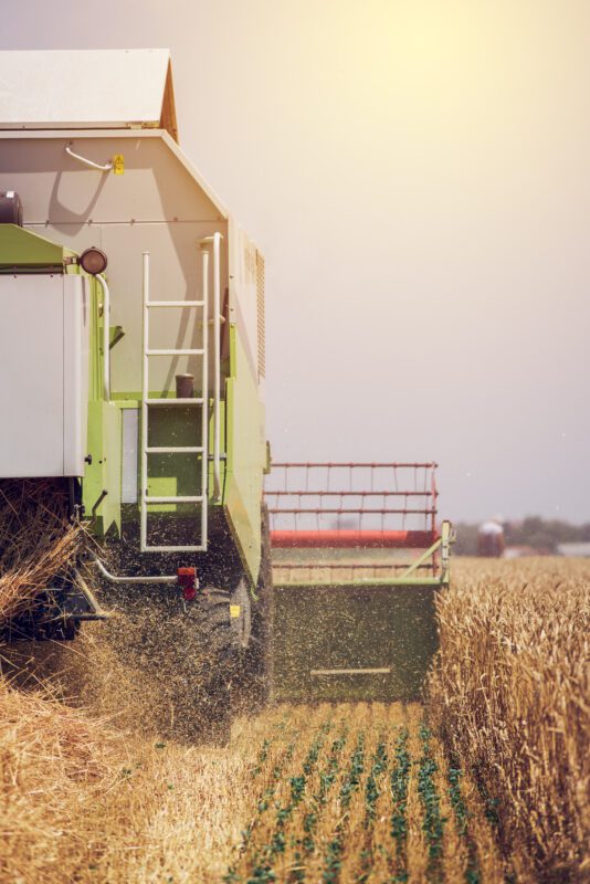 combine harvester machine harvesting ripe wheat cr 2021 08 26 23 03 02 utc 534x800 - GPS Tracker Landwirtschaft - GPS Ortung Landwirtschaft