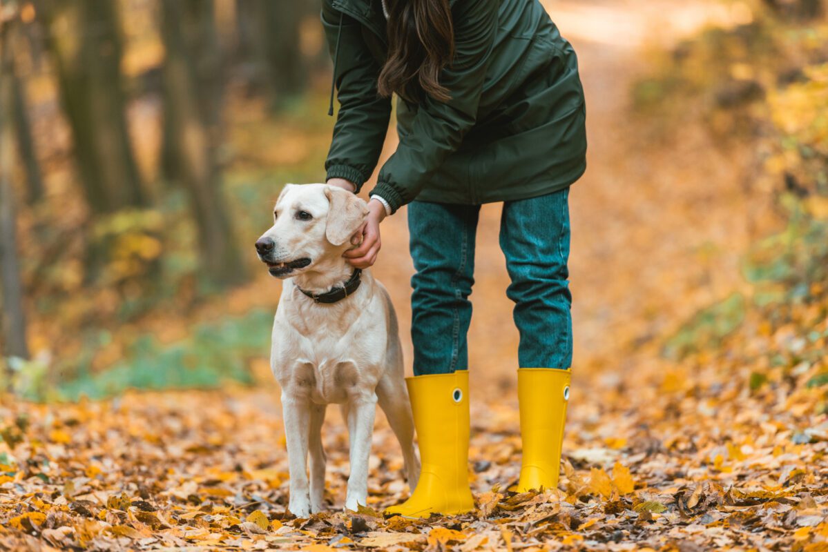GPS Tracker kaufen - GPS Sender 2025 cropped image of woman adjusting dog collar on gol 2022 11 02 03 36 03 utc 1199x800 - GPS Tracker kaufen - GPS Sender 2025