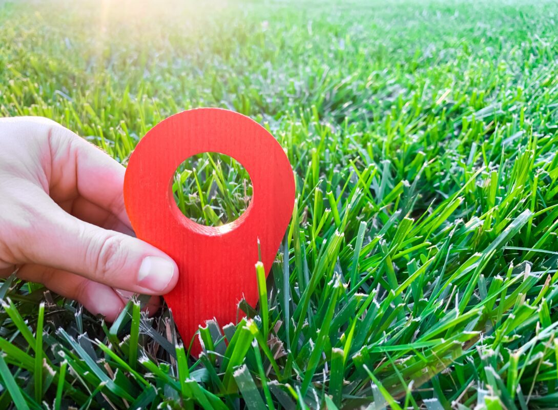 Gps-Tracker rechtliche Grundlagen - wann ist eine Ortung legal? grass 2022 11 09 06 19 10 utc 1089x800 - Gps-Tracker rechtliche Grundlagen - wann ist eine Ortung legal?