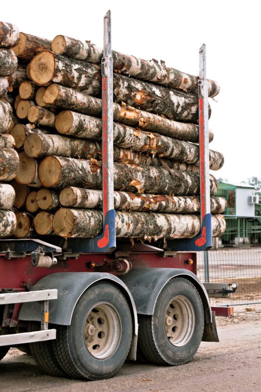 GPS Tracker Holz kaufen - GPS Sender Holz log truck 2022 03 30 00 25 17 utc 533x800 - GPS Tracker Holz kaufen - GPS Sender Holz