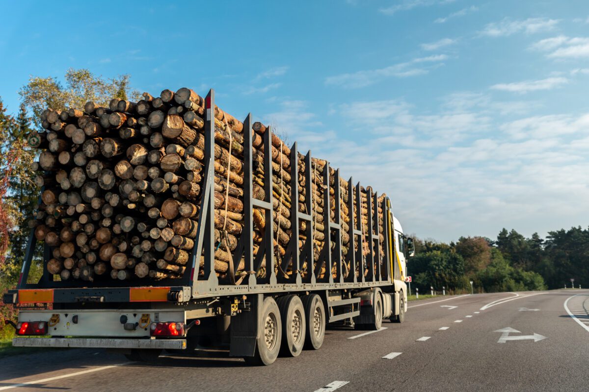 GPS Tracker Holz kaufen - GPS Sender Holz long heavy industrial wood carrier cargo vessel tr 2022 12 07 01 24 53 utc 1200x800 - GPS Tracker Holz kaufen - GPS Sender Holz