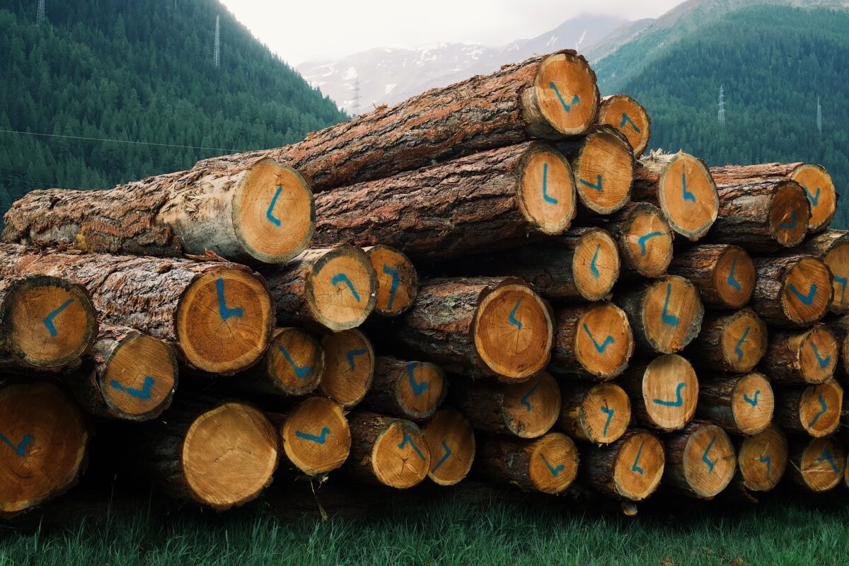 GPS Tracker Holz kaufen GPS Sender Holz
