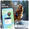 Live Ortung - Salind DOG Tracker 4G GPS Tracker für Hunde